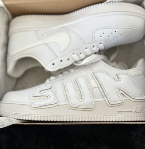 Cactus plant flea market af1